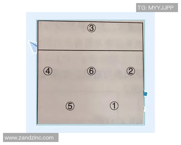 深圳排球队反击战术深度解析与实战应用探讨